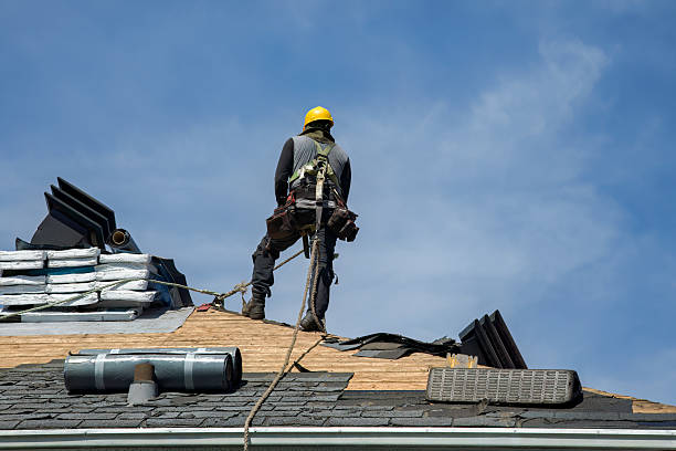 Professional Roof Replacement technician working in Paynes Creek, CA